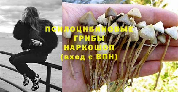 а пвп мука Алексеевка