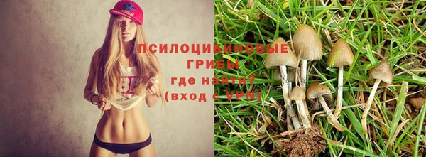 а пвп мука Алексеевка