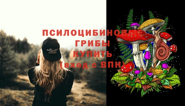 а пвп мука Алексеевка