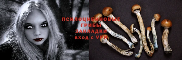 2c-b Алексин