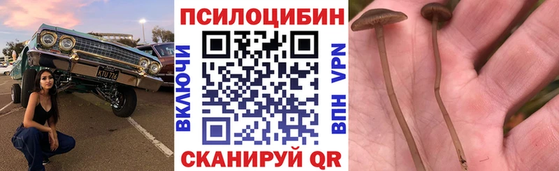 Псилоцибиновые грибы мицелий  Когалым 